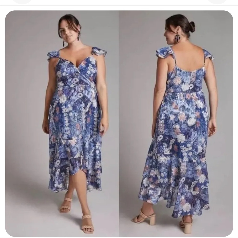 Anthropologie Hitch floral ruffled dress